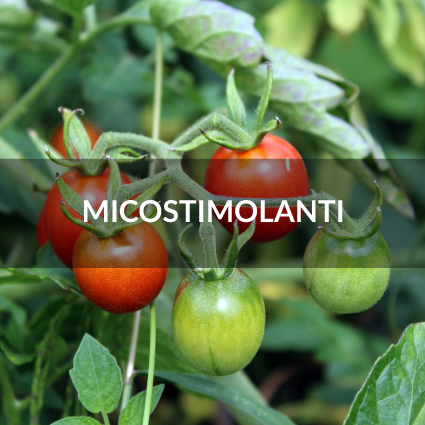 micostimolanti