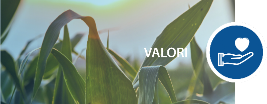 valori